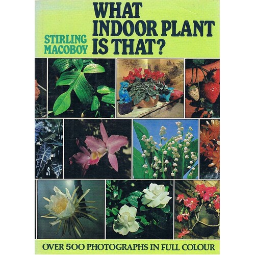 What Indoor Plant Is That