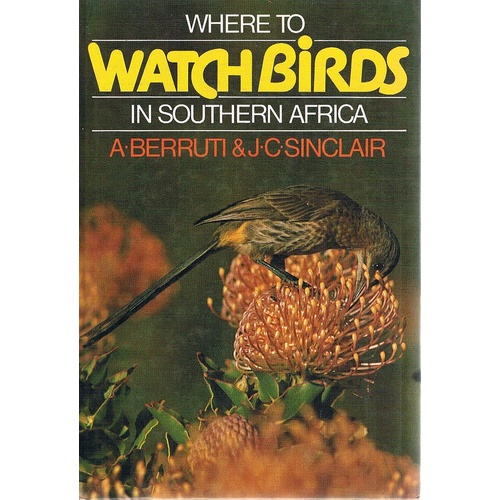 Where To Watch Birds In Southern Africa