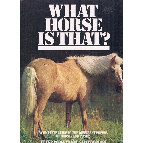 What Horse Is That A Complete Guide To The Different Breeds Of Horses And Ponies