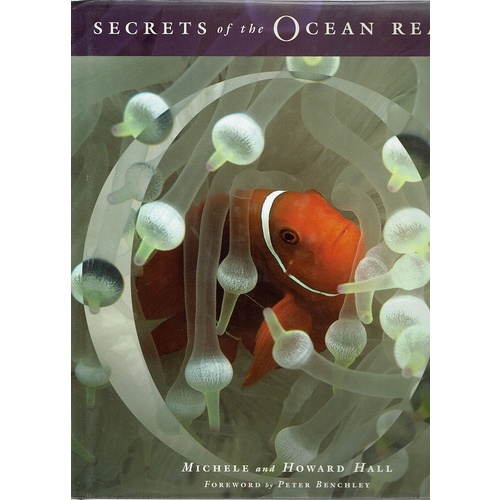 Secrets Of The Ocean Realm