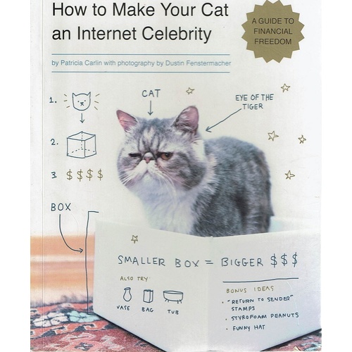 How To Make Your Cat An Internet Celebrity