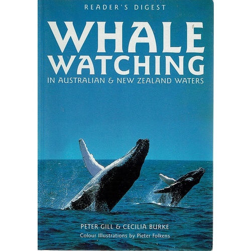 Whale Watching In Australia And New Zealand