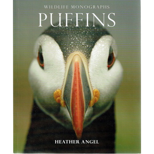 Puffins