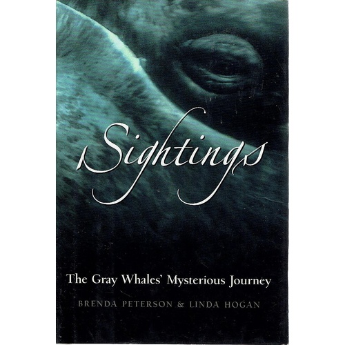 Sightings. The Gray Whales Mysterious Journey