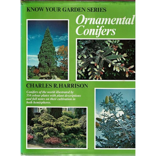 Ornamental Conifers