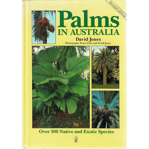 Palms In Australia