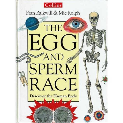 The Egg And Sperm Race. Discover The Human Body
