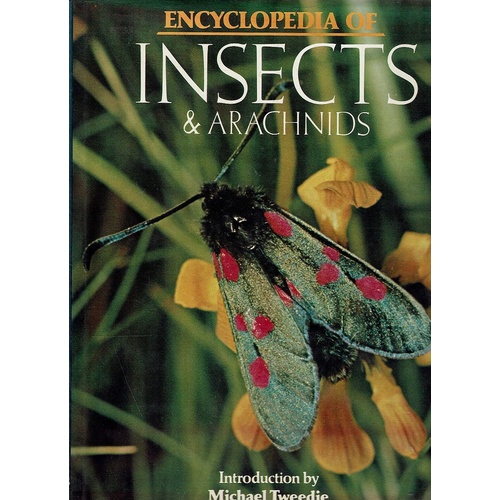Encyclopedia Of Insects And Arachnids Burton Maurice And Robert