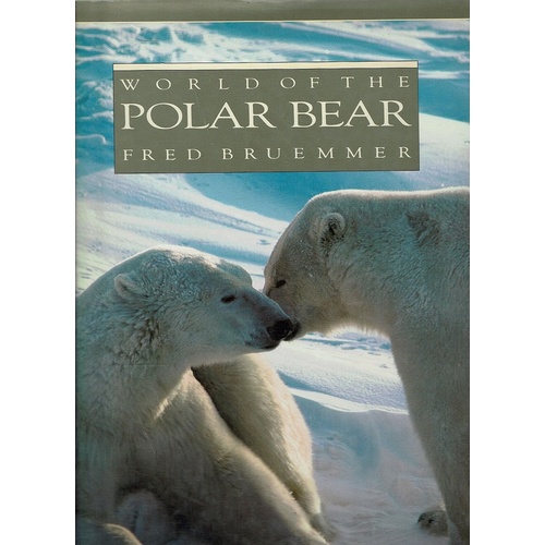 World Of The Polar Bear