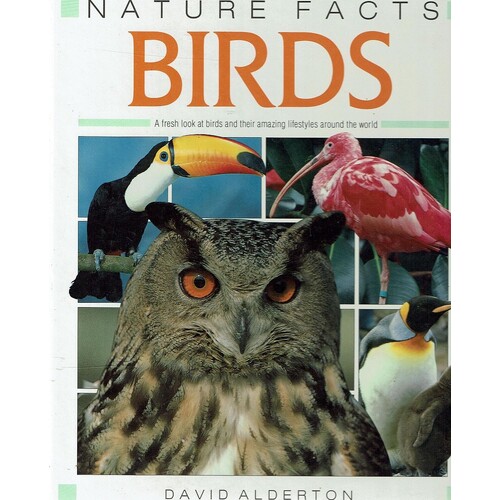 Birds. Nature Facts