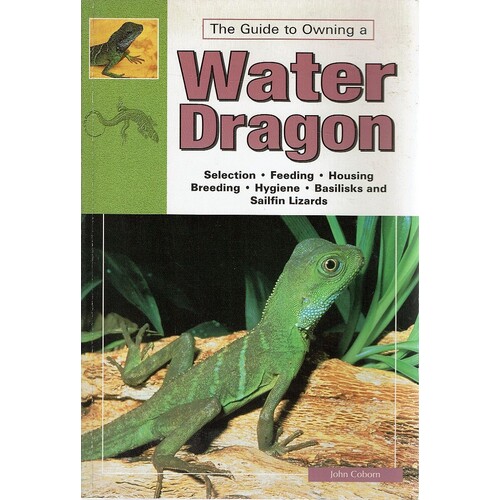 The Guide To Owning A Water Dragon