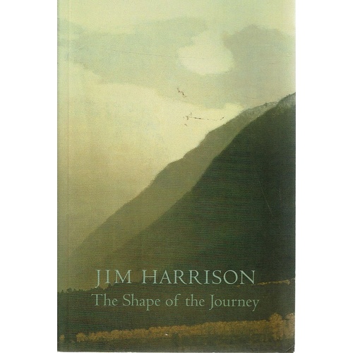 The Shape Of The Journey