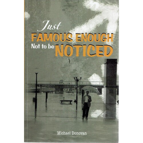 Just Famous Enough Not To Be Noticed