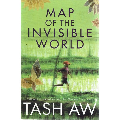 Map Of The Invisible World
