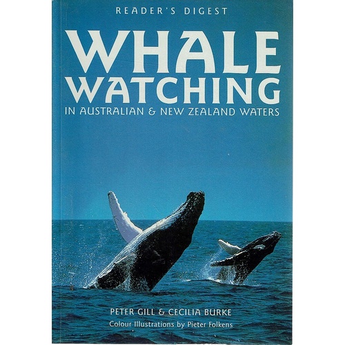 Whale Watching In Australia And New Zealand