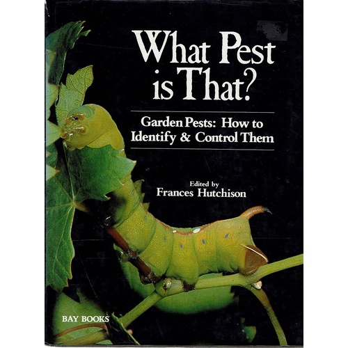 What Pest Is That. Garden Pests. How To Identify And Control Them