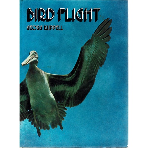 Bird Flight