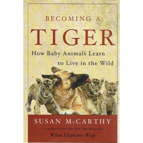 Becoming A Tiger. How Baby Animals Learn To Live In The Wild