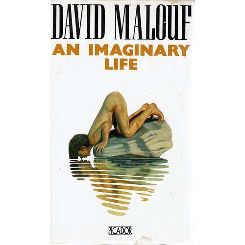 An Imaginary Life