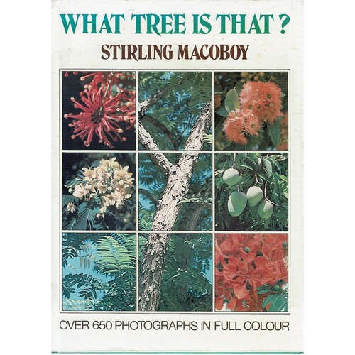 What Tree Is That