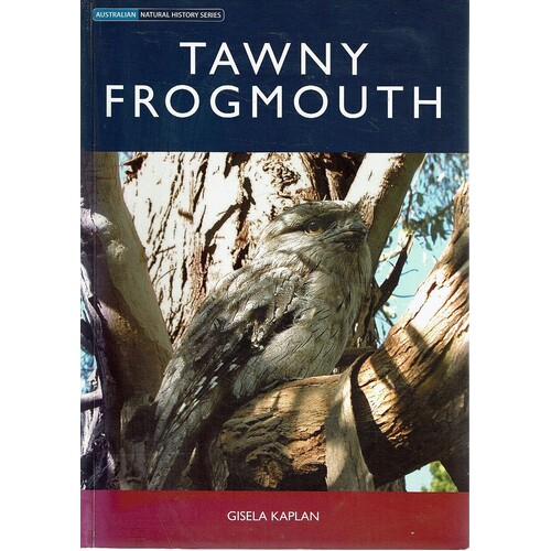 Tawny Frogmouth
