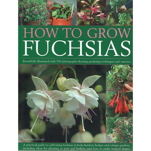 How To Grow Fuchsias