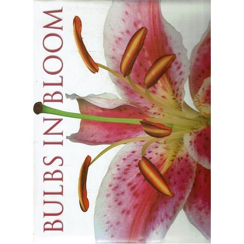 Bulbs In Bloom