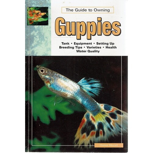 The Guide To Owning Guppies