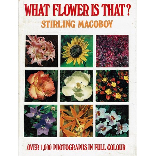 What Flower Is That