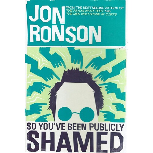 So You've Been Publicly Shamed