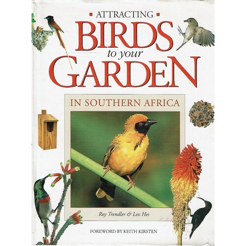 Attracting Birds To Your Garden In Southern Africa
