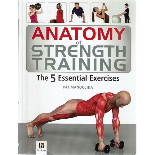 Anatomy Of Strength Training. The 5 Essential Exercises