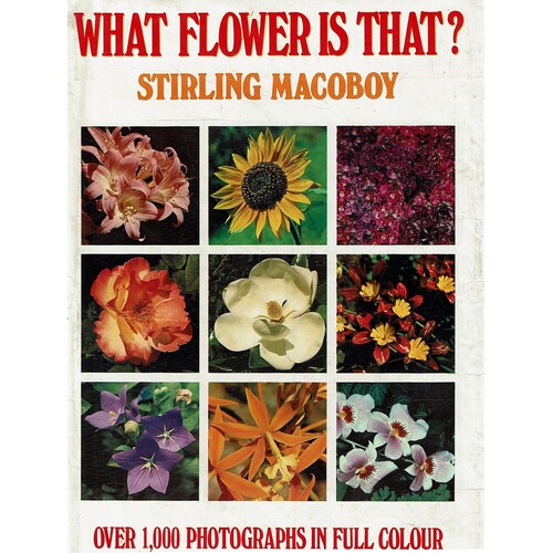 What Flower Is That