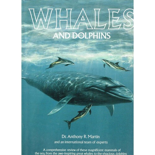 Whales And Dolphins