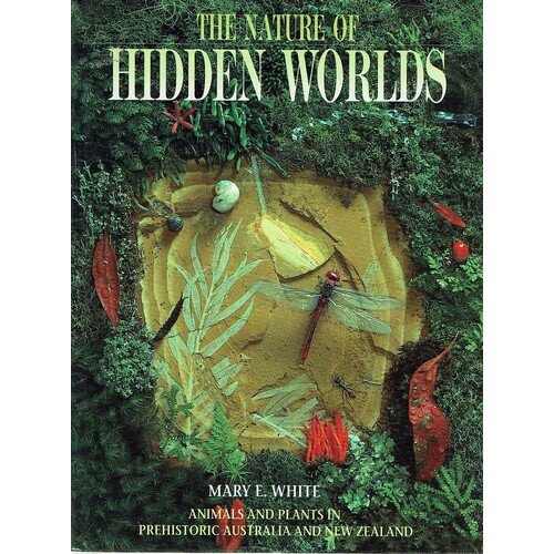 The Nature of Hidden Worlds