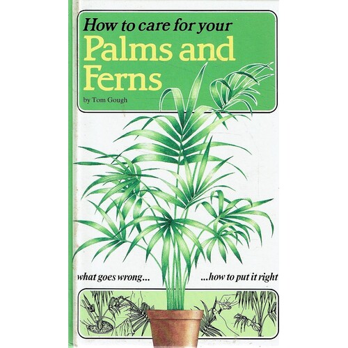How To Care For Your Palms And Ferns