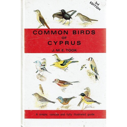 Common Birds Of Cyprus