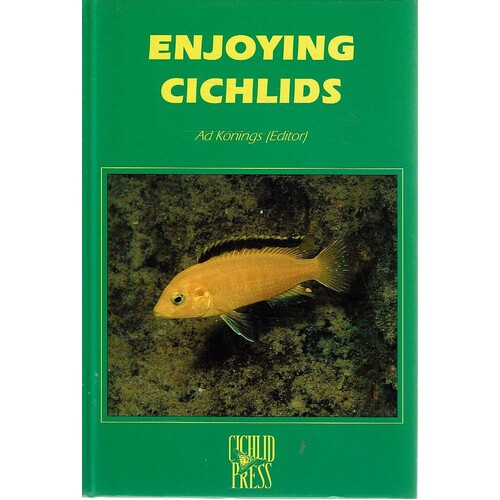 Enjoying Cichlids