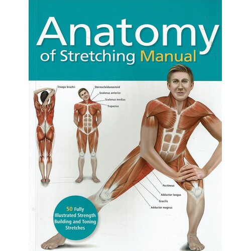 Anatomy Of Stretching Manual