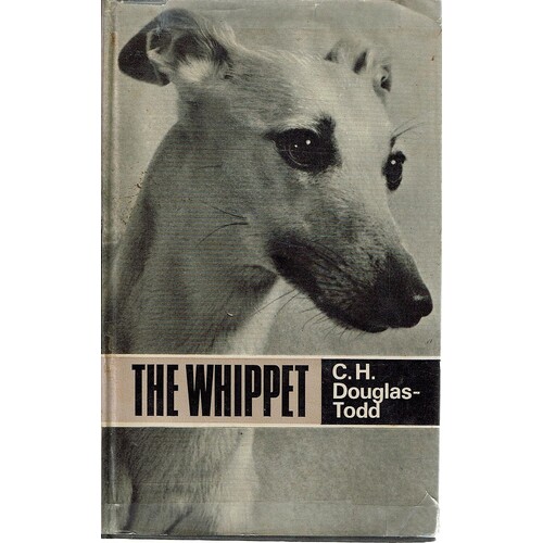 The Whippet