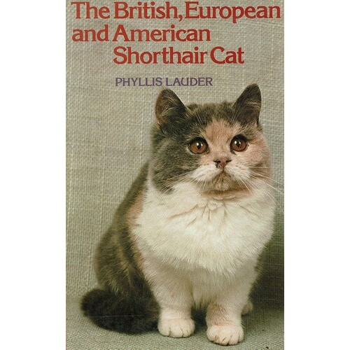 The British, European And American Shorthair Cat