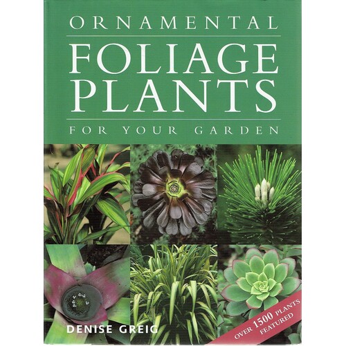 Ornamental Foliage Plants For Your Garden