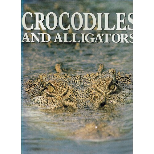 Crocodiles And Alligators