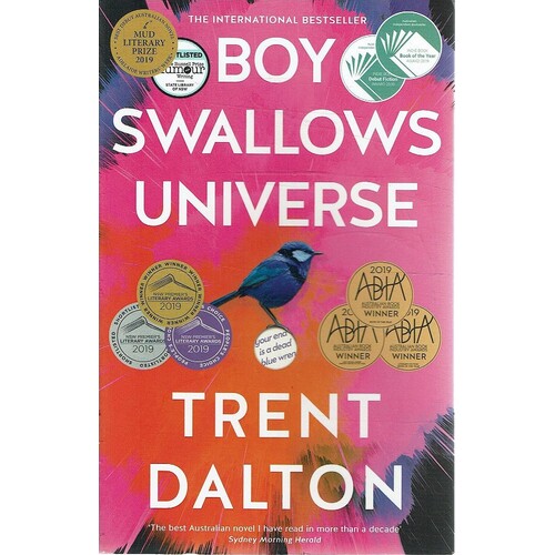 Boy Swallows Universe