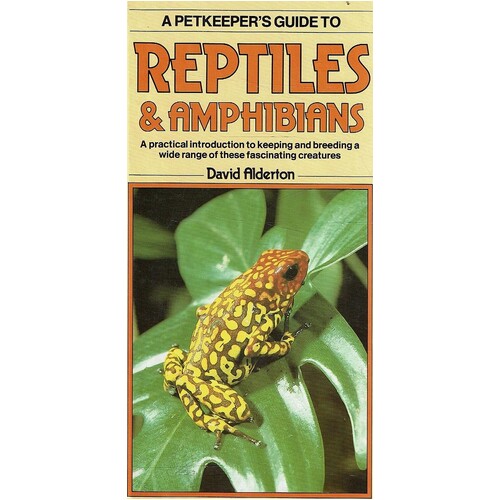 Reptiles And Amphibians
