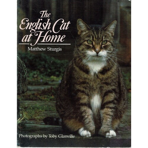 The English Cat At Home