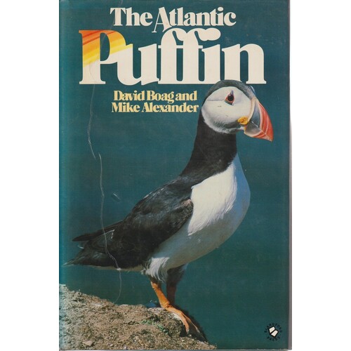 The Atlantic Puffin