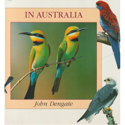 Attracting Birds To Your Garden In Australia