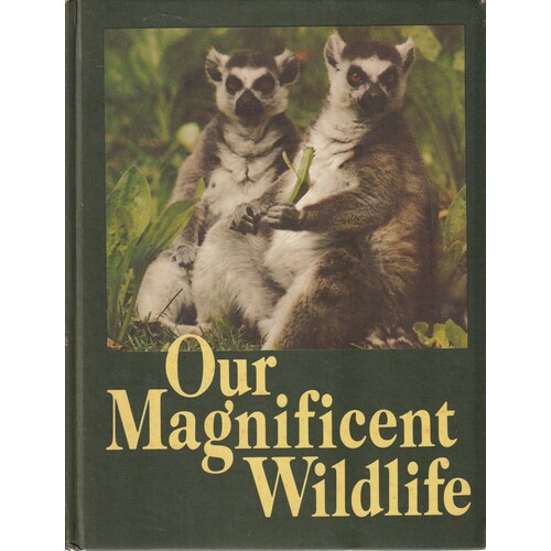 Our Magnificent Wildlife