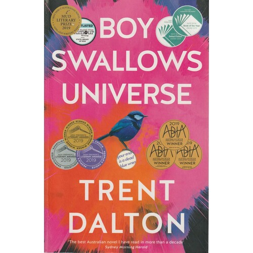 Boy Swallows Universe